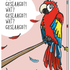 Voorkant geslaagd kaart met daarop een verbaasde papegaai die zegt 'Wat? Geslaagd?! Wat? Geslaagd?!'