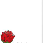 Achterkant bloemenkaart met daarop een Gerbera in de knop, verder blanco