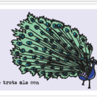 Voorkant wenskaart met daarop een illustratie van een pauw en de tekst 'Zo trots als..'