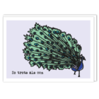 Zo trots als een pauw op jou!