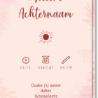 Achterkant geboortekaartje flamingo roze. Met de mogelijkheid om de naam en geboortetijd, gewicht etc op te plaatsen