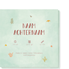 Achterkant geboortekaartje oceaan met daarop de mogelijkheid om de naam, geboortetijd, gewicht etc te plaatsen