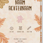 Achterkant geboortekaartje olifantje waar de naam op kan worden ingevuld, net als de geboortetijd, gewicht etc
