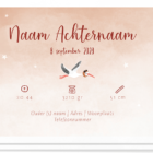 Achterkant geboortekaartje ooievaar met daarop plek voor de naam, geboortetijd, gewicht etc...