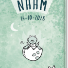 Geboortekaartje Draakje langwerpig enkel kaartje met daarop een draakje uit open gebroken ei. Het kaartje is groen met een stoer effect.