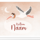 Geboortekaartje ooievaar met daarop een vliegende ooievaar met een tekstwolkje waar de naam van het kindje in kan. Mooie zachte kleuren