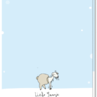 Achterkant kaart geschoren schaap